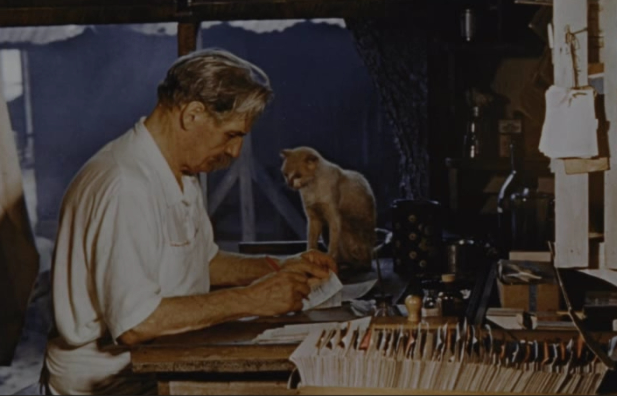 (Bild für) Albert Schweitzer