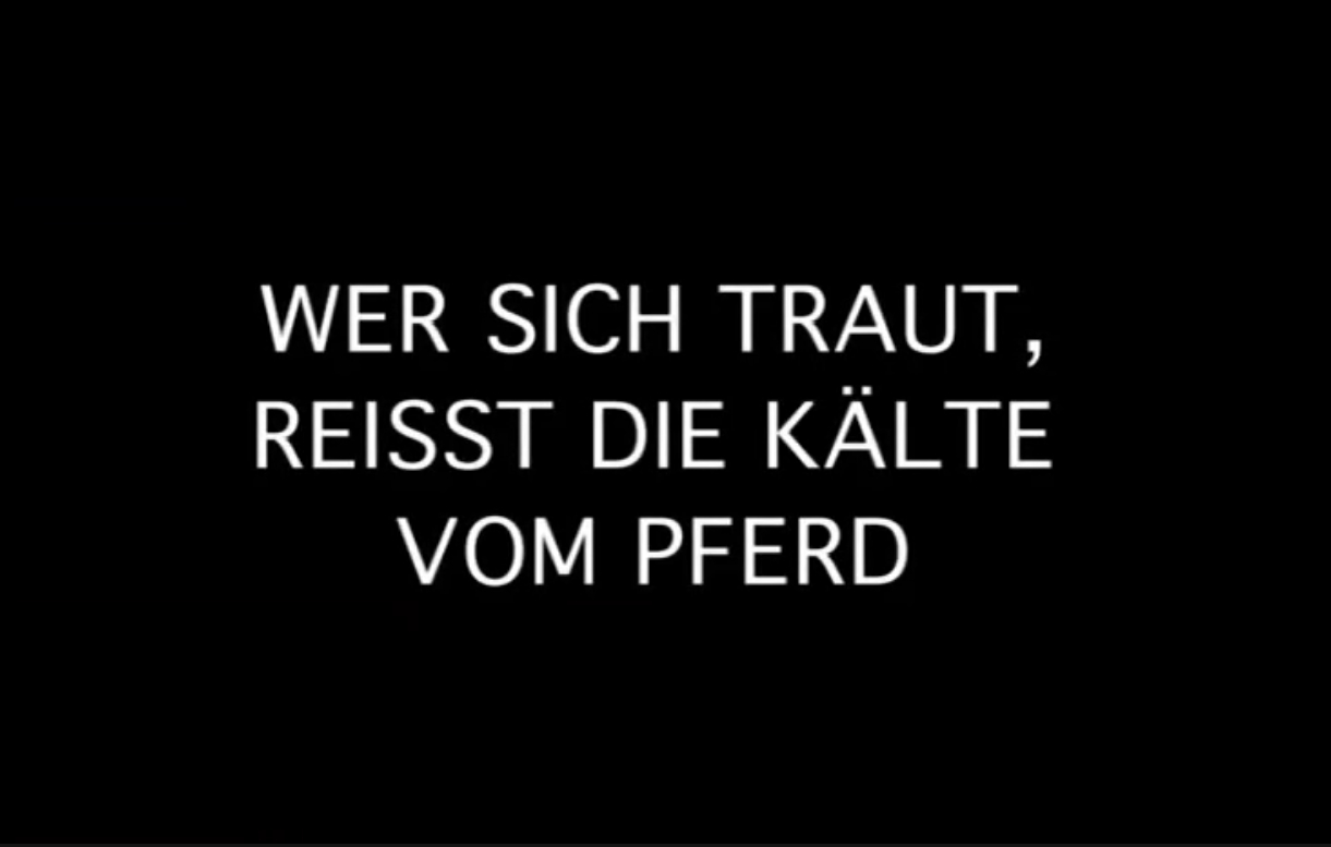 (Bild für) Wer sich traut, reißt die Kälte vom Pferd