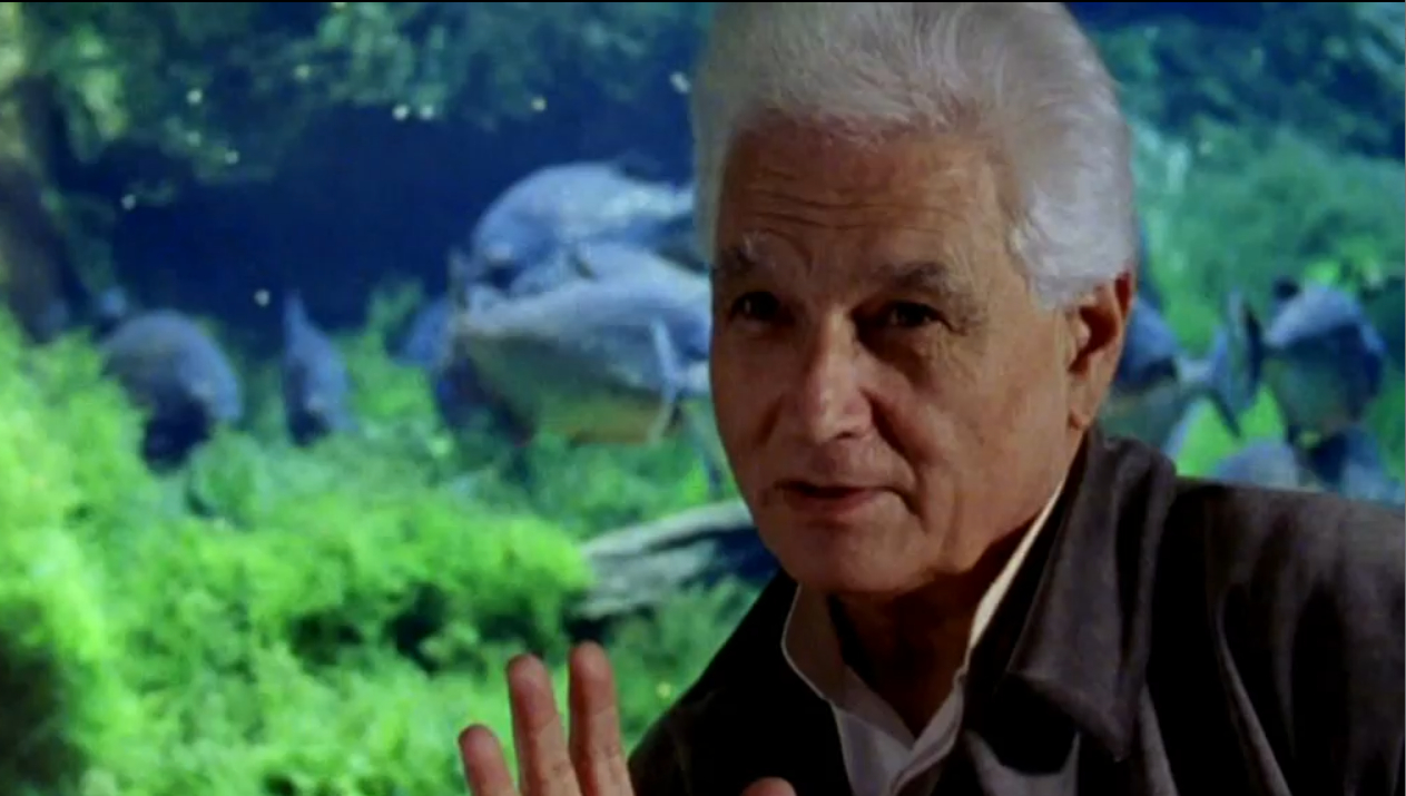 (Bild für) Derrida, anderswo
