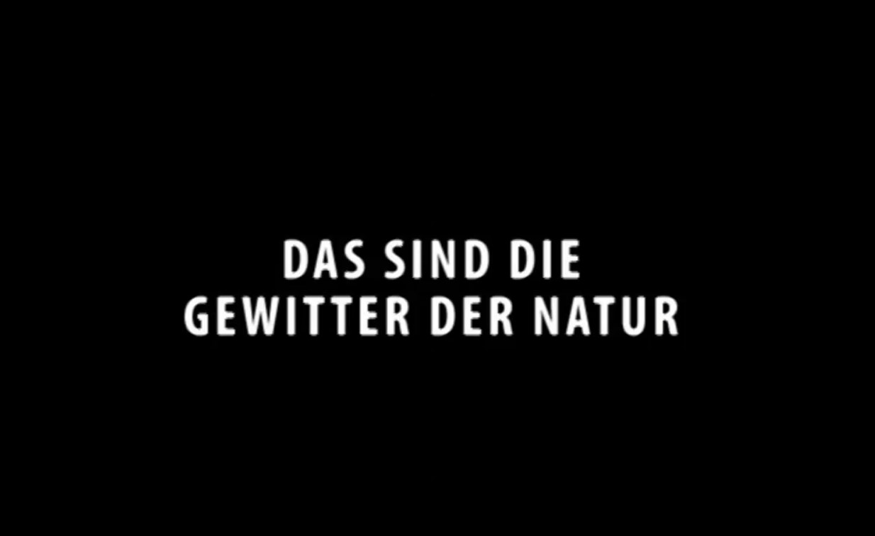 (Bild für) Faust Sonnengesang (2011). Mit Extra: Das sind die Gewitter in der Natur (1988)