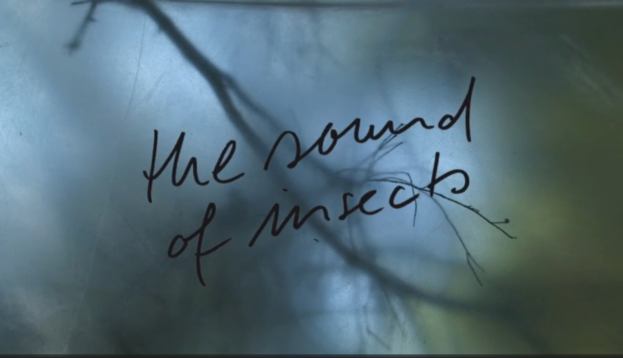 (Bild für) The Sound of Insects (Das Summen der Insekten – Bericht einer Mumie)